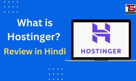 What is Hostinger in Hindi