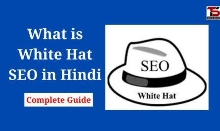 What is White Hat SEO in Hindi