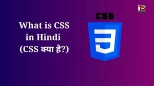 What is CSS in Hindi