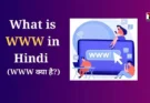 What is WWW in Hindi