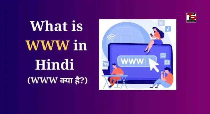 What is WWW in Hindi