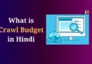What is Crawl Budget in Hindi