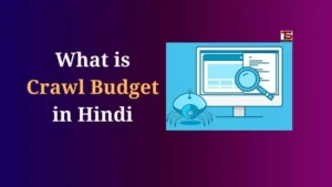 What is Crawl Budget in Hindi