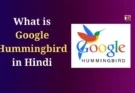 What is Google Hummingbird in Hindi