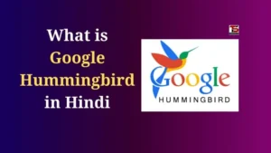 What is Google Hummingbird in Hindi