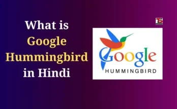 What is Google Hummingbird in Hindi