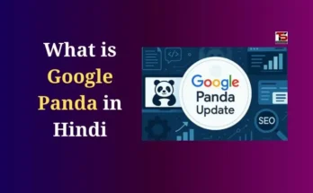 What is Google Panda in Hindi