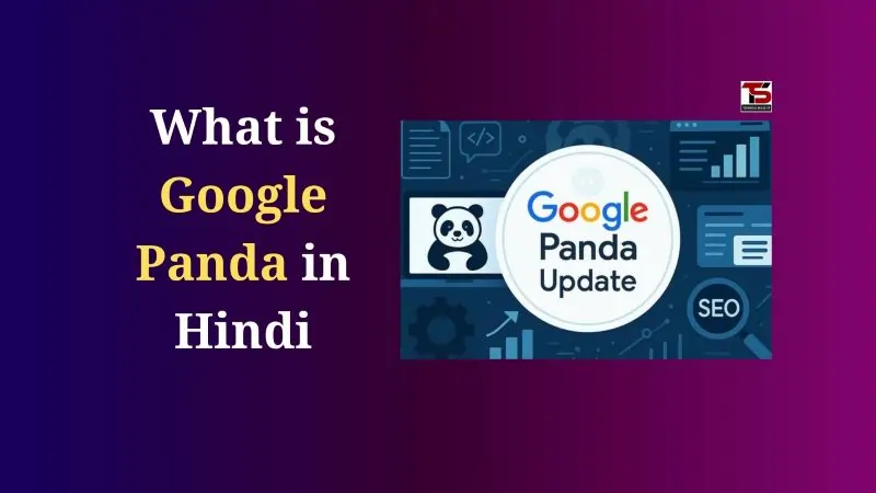What is Google Panda in Hindi