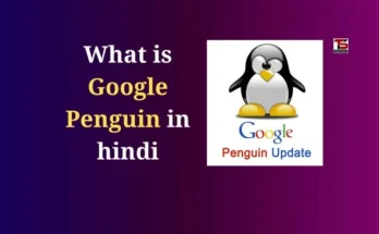 What is Google Penguin in Hindi