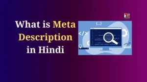 What is Meta Description in Hindi