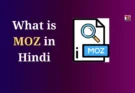 What is Moz in Hindi
