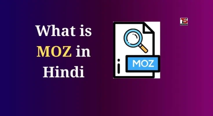 What is Moz in Hindi