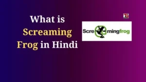 What is Screaming Frog in Hindi