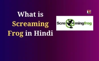 What is Screaming Frog in Hindi