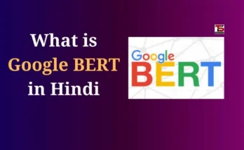 What is Google BERT in Hindi