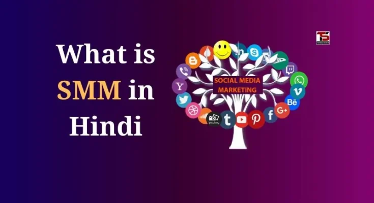 What is SMM in Hindi