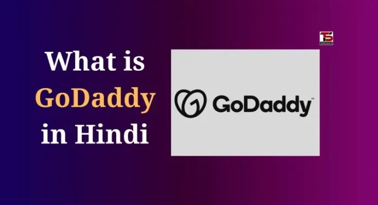 What is GoDaddy in Hindi